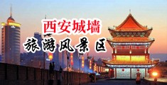 美女漏骚逼被又大又粗的大屌爆操中国陕西-西安城墙旅游风景区